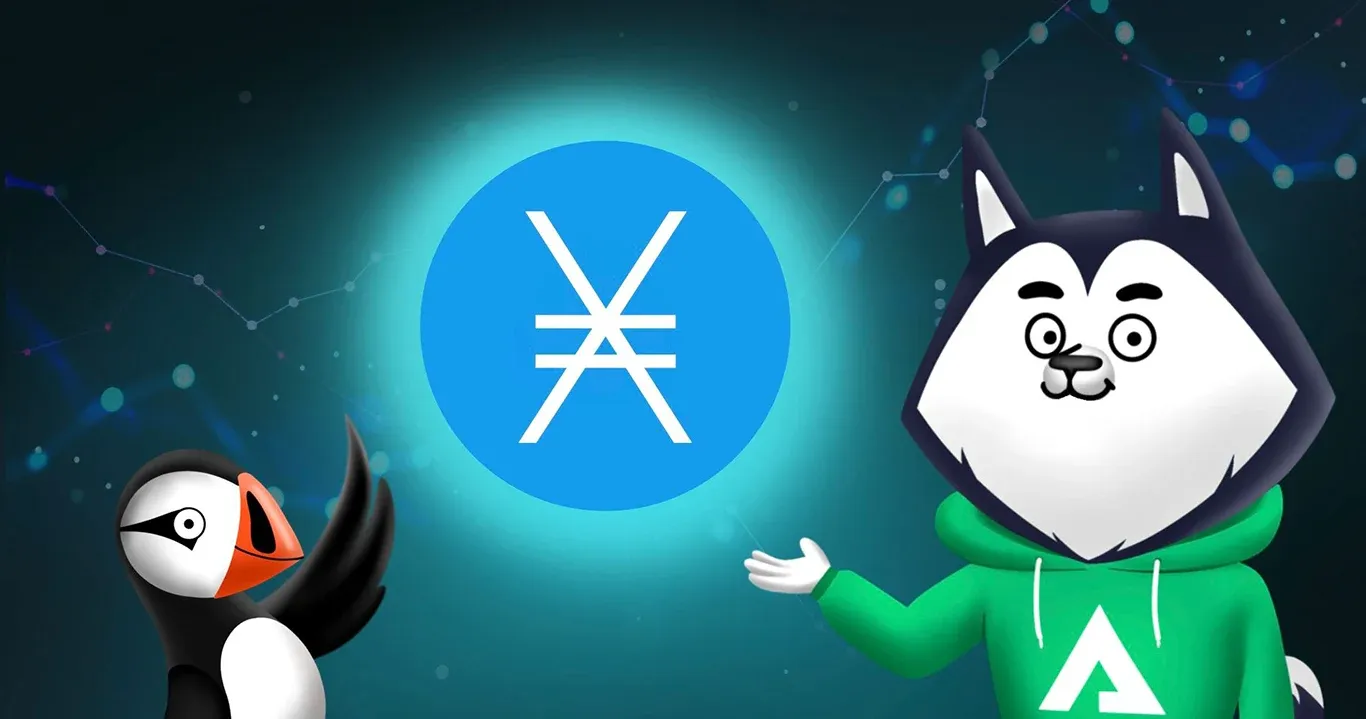 Arctic Wallet Now Supports NANO (XNO) - Fast and Feeless Transactions